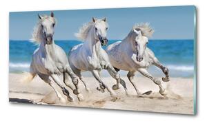Konyhai fali panel White horse beach