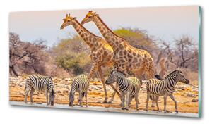 Konyhai fali panel Zsiráfok és zebrák