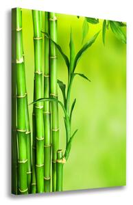 Vászonkép nyomtatás Bambusz