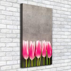 Vászonkép nyomtatás Rózsaszín tulipánok