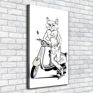 Vászonkép Cat férfi