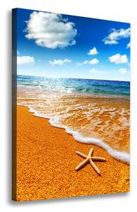Feszített vászonkép Starfish a strandon