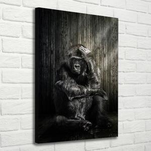 Vászonkép Gorilla