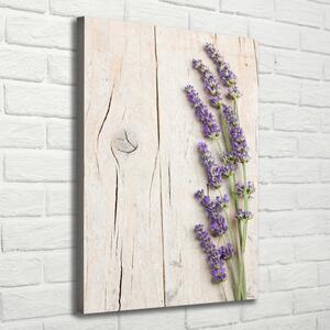 Vászonkép nyomtatás Lavender fa