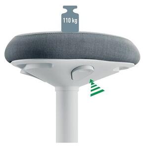 Esselte Leitz Ergo Active Irodai szék - Szürke