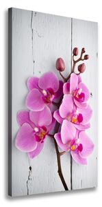 Vászonkép nyomtatás Rózsaszín orchidea