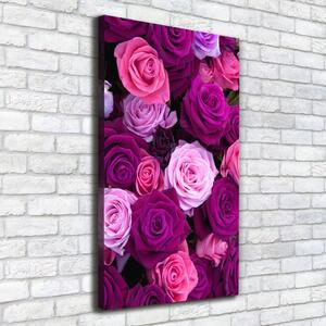 Vászonkép nyomtatás Rózsaszín rózsa