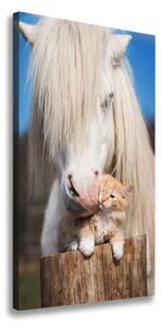 Vászonkép Fehér ló egy macska