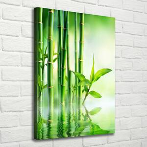 Vászonkép nyomtatás Bamboo vízben