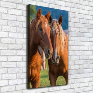Vászonkép Két ló