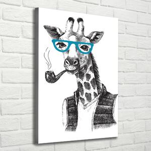 Vászonkép Zsiráfok szemüveg