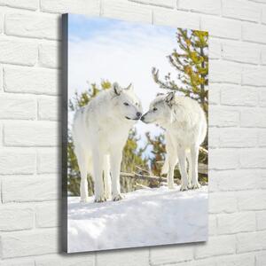 Vászonkép Két fehér farkas