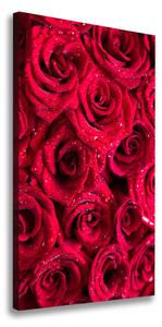Vászonkép nyomtatás Vörös rózsák