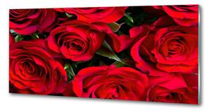 Konyhai panel Vörös rózsák