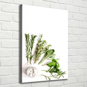 Vászonkép nyomtatás Gyógynövények