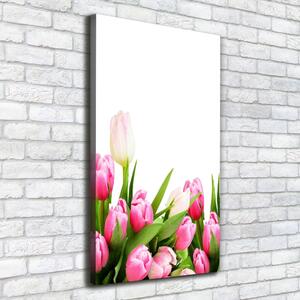 Vászonkép nyomtatás Rózsaszín tulipánok