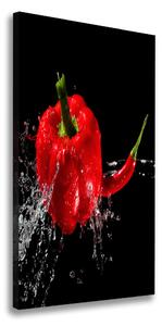 Fali vászonkép Két paprika
