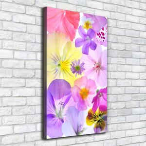 Vászonkép nyomtatás Színes virágok