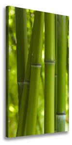 Vászonkép nyomtatás Bambusz erdő