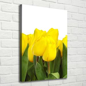 Vászonkép nyomtatás Sárga tulipánok