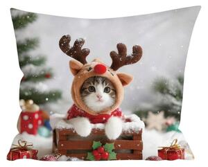 3D mikroszálas párnahuzat RUDOLPH KITTEN 45x45 cm, színes