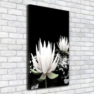 Vászonkép nyomtatás Lótusz virág