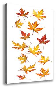Vászonkép nyomtatás Őszi levelek