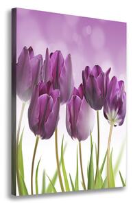 Vászonkép nyomtatás Lila tulipánok