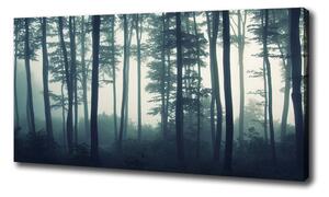 Feszített vászonkép Forest a ködben