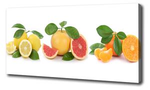 Fali vászonkép Citrusfélék