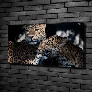 Vászonkép Két leopárd