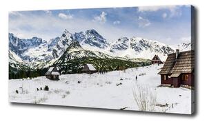 Feszített vászonkép Hale tatry