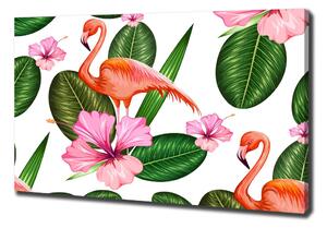 Vászonkép Flamingók és növények