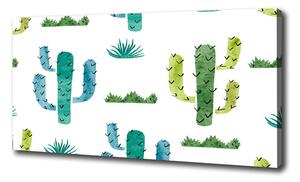 Egyedi vászonkép Kaktuszok