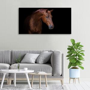 Vászonkép Barna ló