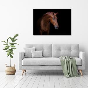 Vászonkép Barna ló