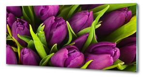 Hátfal panel konyhai Lila tulipánok