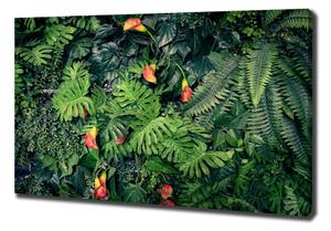 Vászonkép nyomtatás Egzotikus dzsungel
