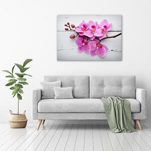 Vászonkép nyomtatás Orchid a fán