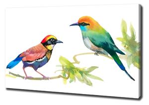Vászonkép Egzotikus madarak
