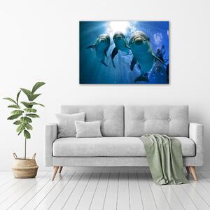 Vászonkép Három delfinek