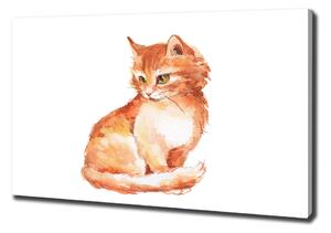 Vászonkép Red cat