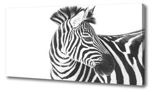 Vászonkép Zebra hó
