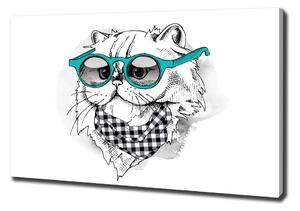 Vászonkép Cat szemüveg