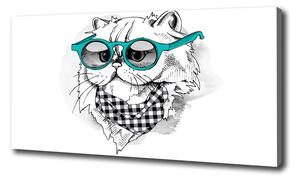 Vászonkép Cat szemüveg