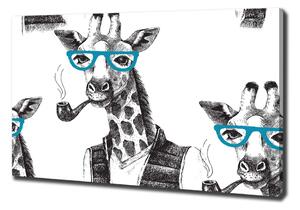 Vászonkép Zsiráf szemüveg