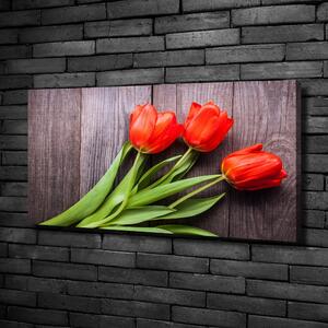 Vászonkép nyomtatás Piros tulipánok