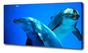 Vászonkép Két delfin