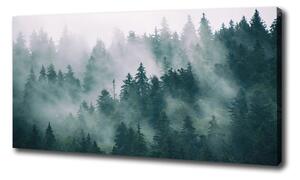 Vászon nyomtatás Köd az erdőben