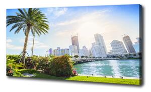 Vászonfotó Miami usa